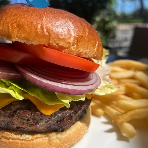 A cheeseburger with lettuce, red onion, and tomato, served with a side of french fries.