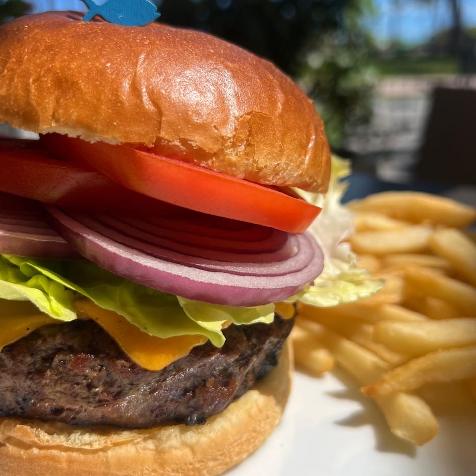 A cheeseburger with lettuce, red onion, and tomato, served with a side of french fries.